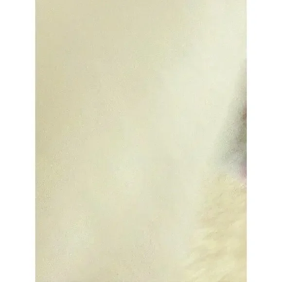 Young Fabulous and Broke Derby Cut Out Poplin Shirt Maxi Dress Pink Medium Crop - Picture 9 of 9